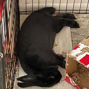 Meet your Posher, Tina